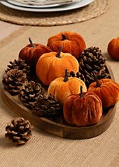 evans waterfall jacket