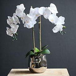 Artificial/Faux White Faux Double Orchid in Pot
