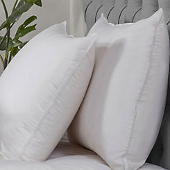 BHS Home All Natural Duck Feather Pair of Pillows