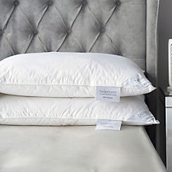 Belledorm Hotel Filled Standard Pillow
