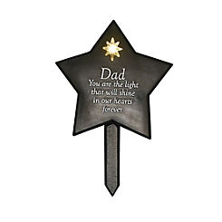 Celebrations® Thoughts of You Memorial Solar Light Up Star Plaque - Dad
