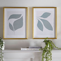 Dominique Vari Abstract Leaves 1 & 2 Framed Prints
