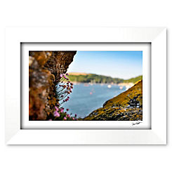 Fowey Estuary from Porluan Castle Framed Print by Greydog Images
