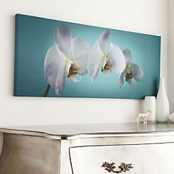 Graham & Brown Teal Photographic Printed Canvas