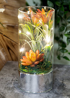 Hestia Glass Tube Terrarium with Artificial Succulents & LEDs 20 cm