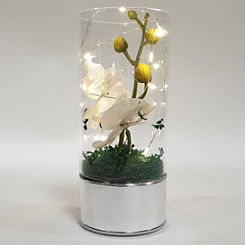 Hestia LED Light Up Glass Tube Vase with Artificial Grey Orchids