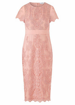 freemans womens kaleidoscope dresses