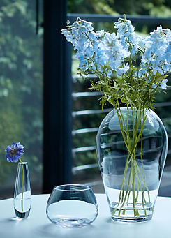 LSA Flower Posy Vase - Clear
