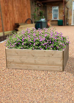 Pressure Treated Timber Rectangular Raised Planting Bed - 60 cm Sides