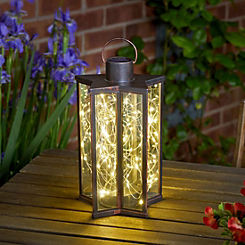 Smart Garden Firefly Star Lantern