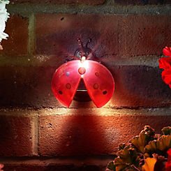 Smart Garden Pack of 4 Solar Powered LED Wall Hanging Ladybird Lights