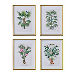 Summer Thornton Wild Palms Set of 4 Framed Prints