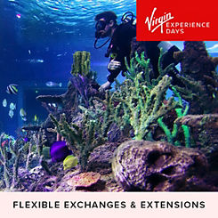 Virgin Experience Days Dive with Sharks at Skegness Aquarium