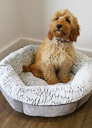 Grey round dog bed best sale