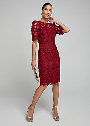 Shop for Size 20 | Occasion Dresses | Dresses | Sale | online at Freemans