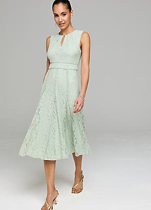 green dress size 22 City Chic Women's Elyse Dress