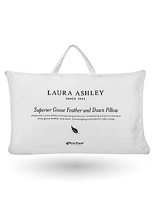 https://freemans.scene7.com/is/image/OttoUK/300w/Laura-Ashley-Goose-Feather-&-Down-Pillow~65J548FRSP.jpg