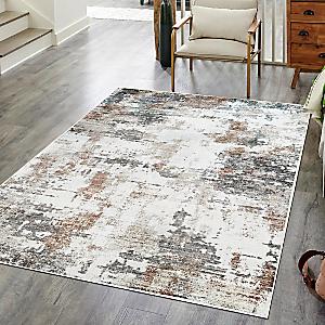 Alexander Home Charlotte Modern Distressed Area Rug - 2'-8 x 4