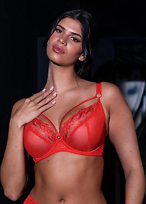 Shop for Scantilly by Curvy Kate, Bras, Lingerie