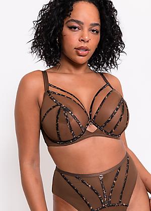 Indulgence Body by Scantilly by Curvy Kate