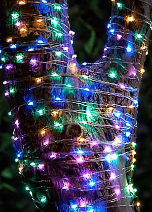 Gardenwize Garden Outdoor 2m Solar Micro LED Bulb String Fence Fairy Lights  (10 piece)