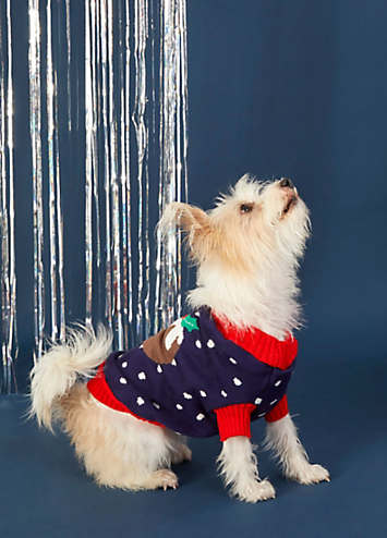 christmas pudding dog coat