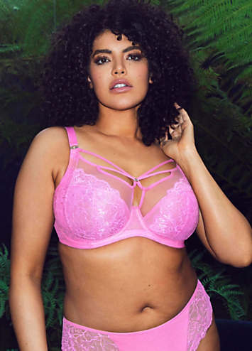 Elomi Brianna Underwired Half Padded Cup Bra