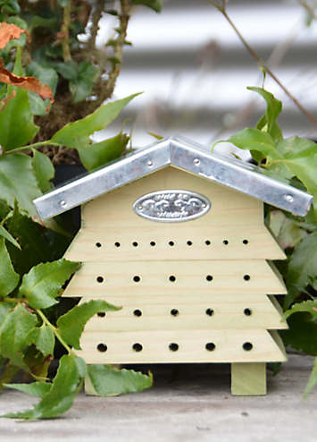 Lieveheersbeesthuisje in Giftbox kopen