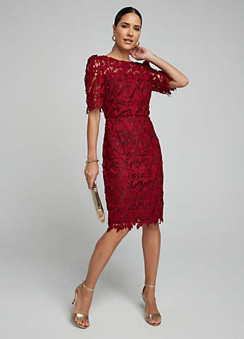 Kaleidoscope Burgundy Lace Shift Dress