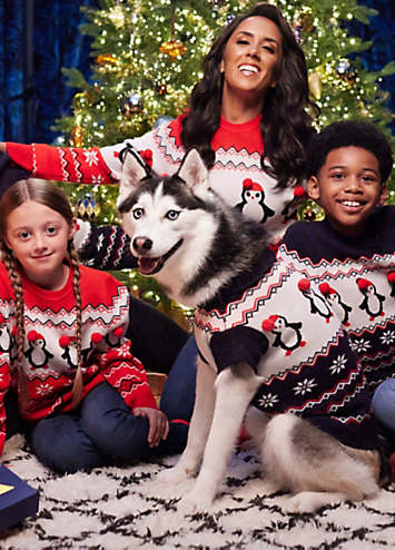 Kaleidoscope Navy Dog Family Christmas Jumper Freemans