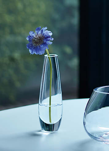 LSA Flower Single Stem Vase - Clear | Freemans