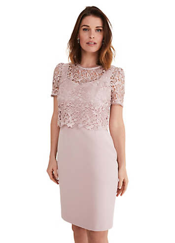 Phase Eight Isabella Lace Dress | Freemans