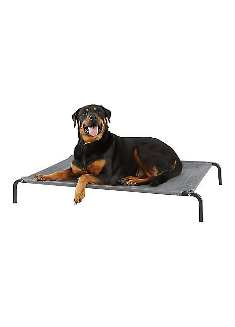 Raised dog bed with sides best sale