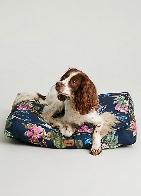 Medium joules outlet dog bed