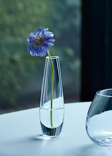 LSA Flower Single Stem Vase - Clear | Freemans