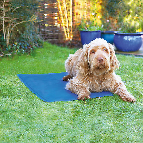 cooling mat for large dogs