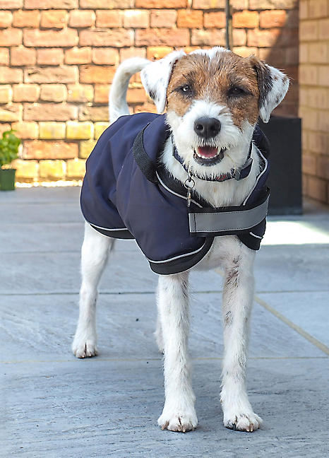 Zoon Uber-Activ Navy Waterproof Comfort Dog Coat Freemans