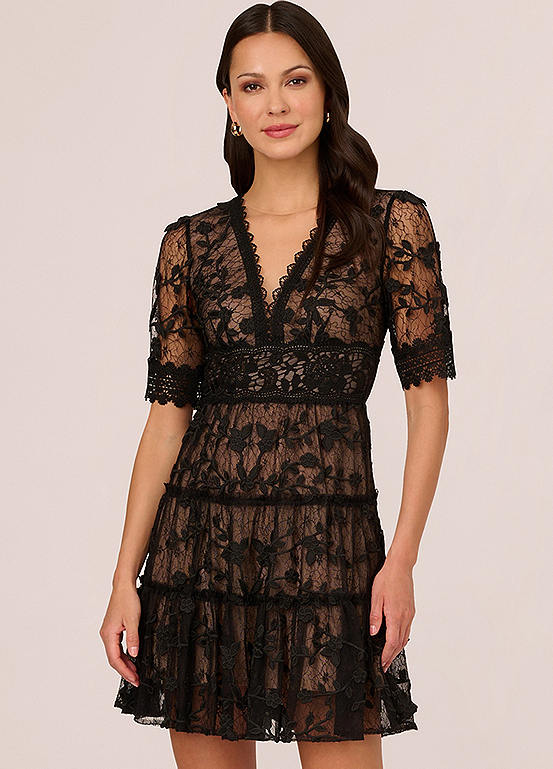 Adrianna Papell Lace Embroidery Dress | Freemans