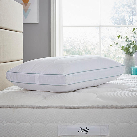 sealy posturepedic spinal alignment pillow