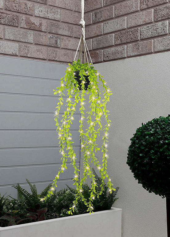 Streetwize Solar Artificial Trailing Plant in a Pot Freemans