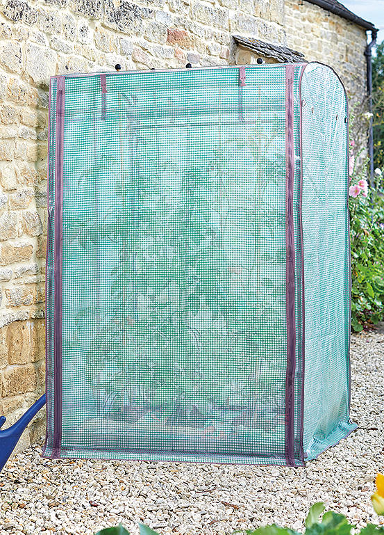 Tomato GroZone Max Double Sided Freemans