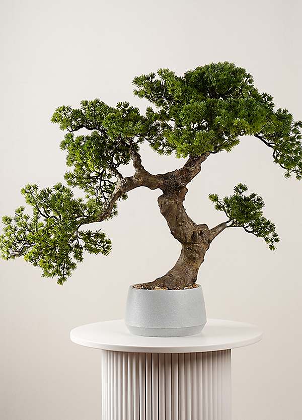 Leaf LEAF-7518 50cm Kunstmatige Pine Bonsai Boom