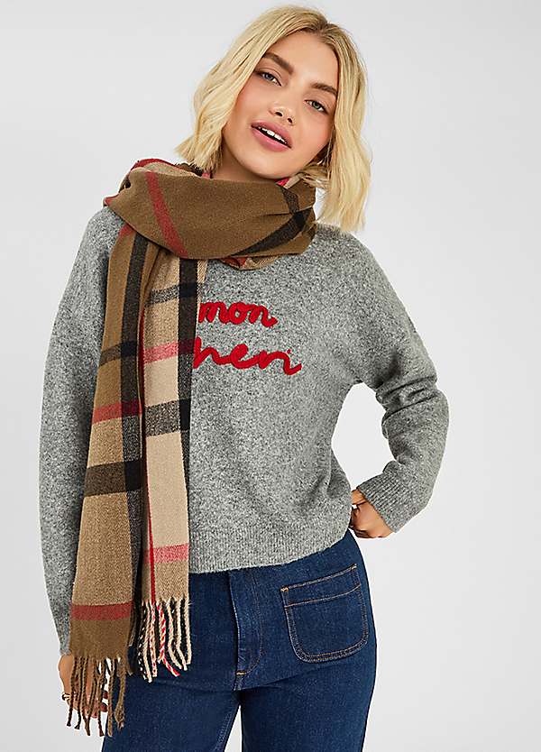 Accessorize Check Print Scarf | Freemans