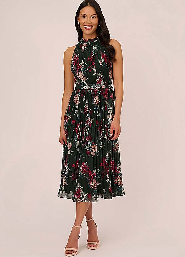 Adrianna Papell Floral Pleated Chiffon Dress