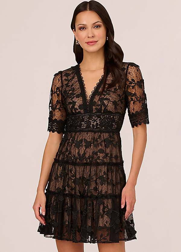 Adrianna Papell Lace Embroidery Dress Freemans