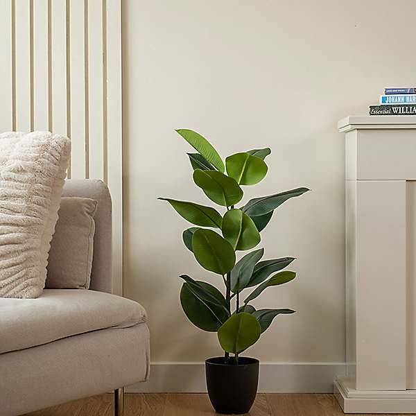 Artificial/Faux Classic Rubber Tree | Freemans