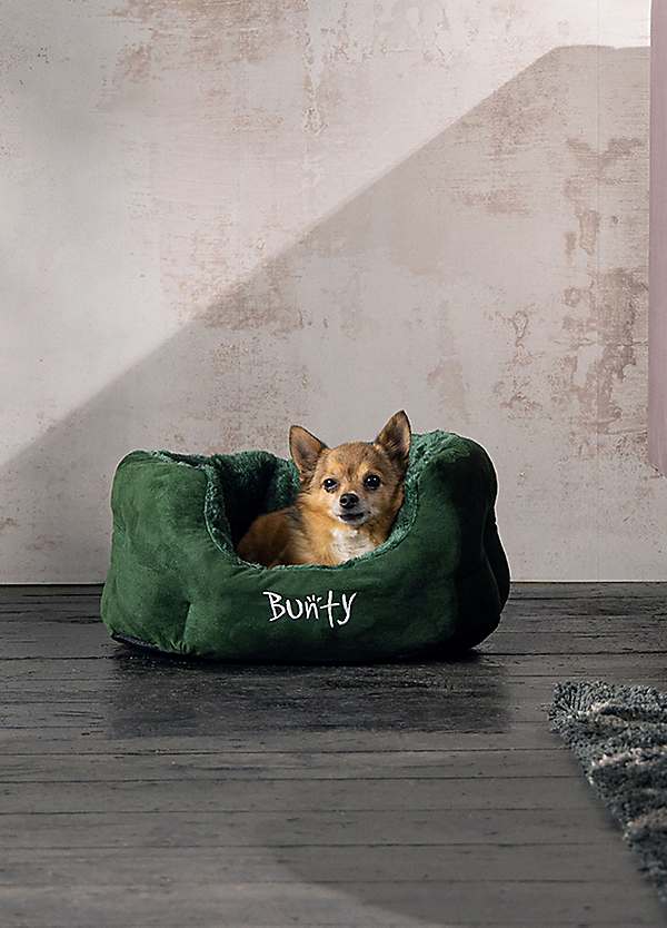 Bunty Green Polar High Sided Machine Washable Dog Bed Freemans