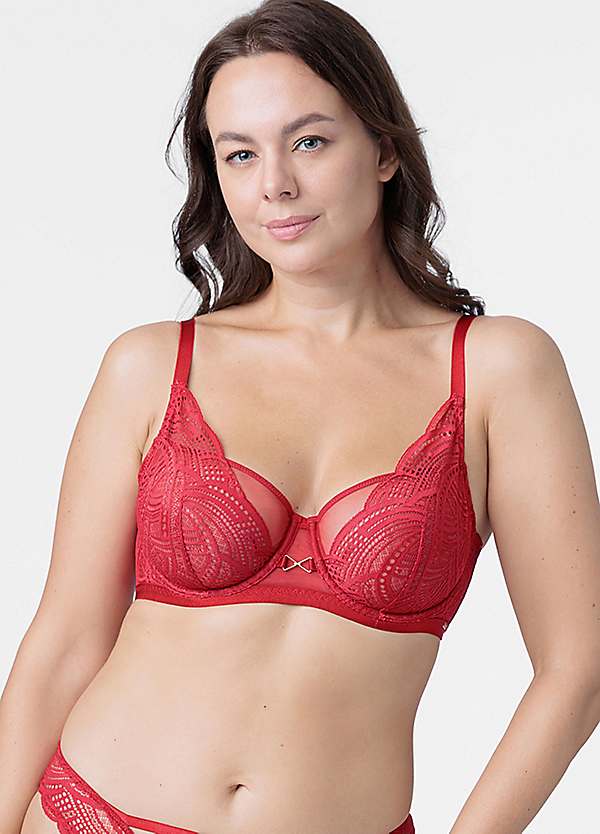 Dorina Red Lace Hipster Briefs
