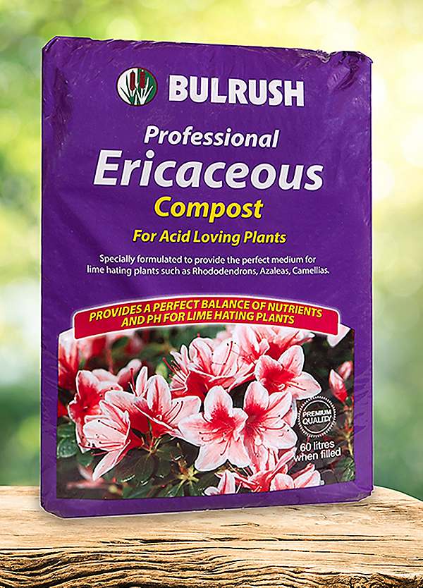 Ericaceous Compost 60L Bag | Freemans