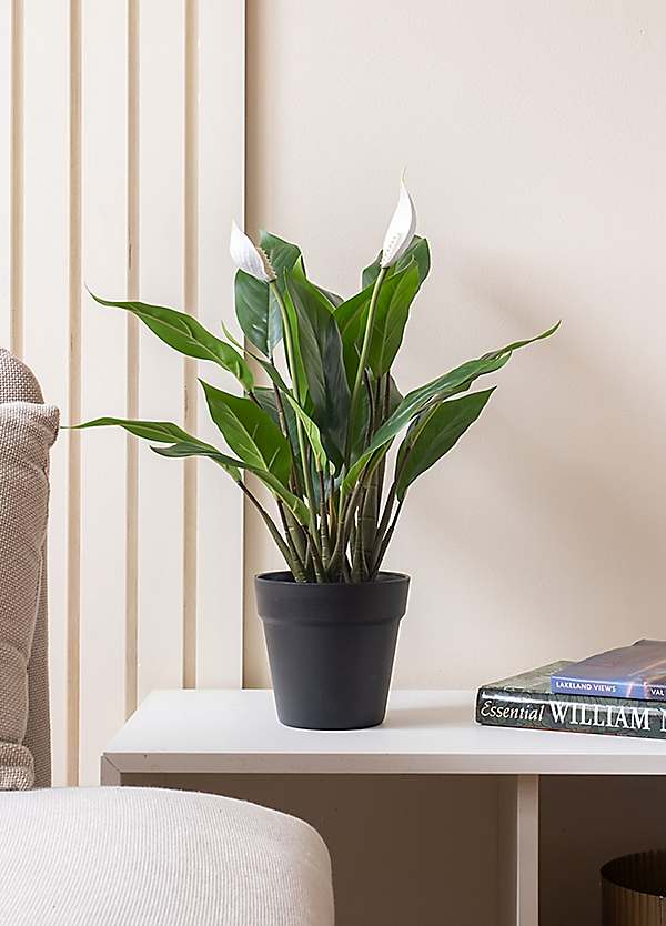 Faux Artificial Peace Lily Plant | Freemans